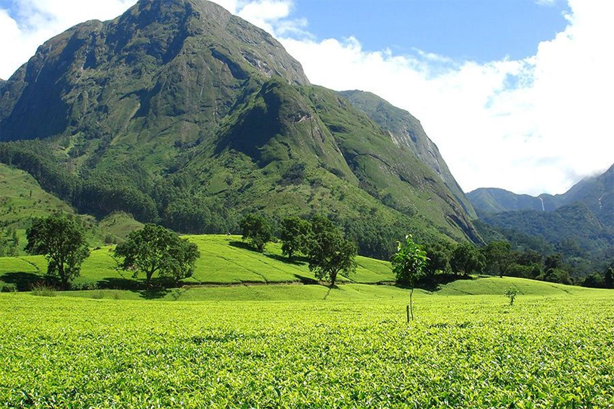 Mulanje