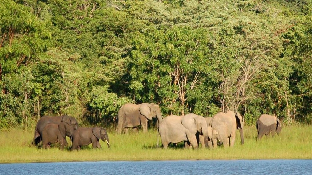 Lake Malawi