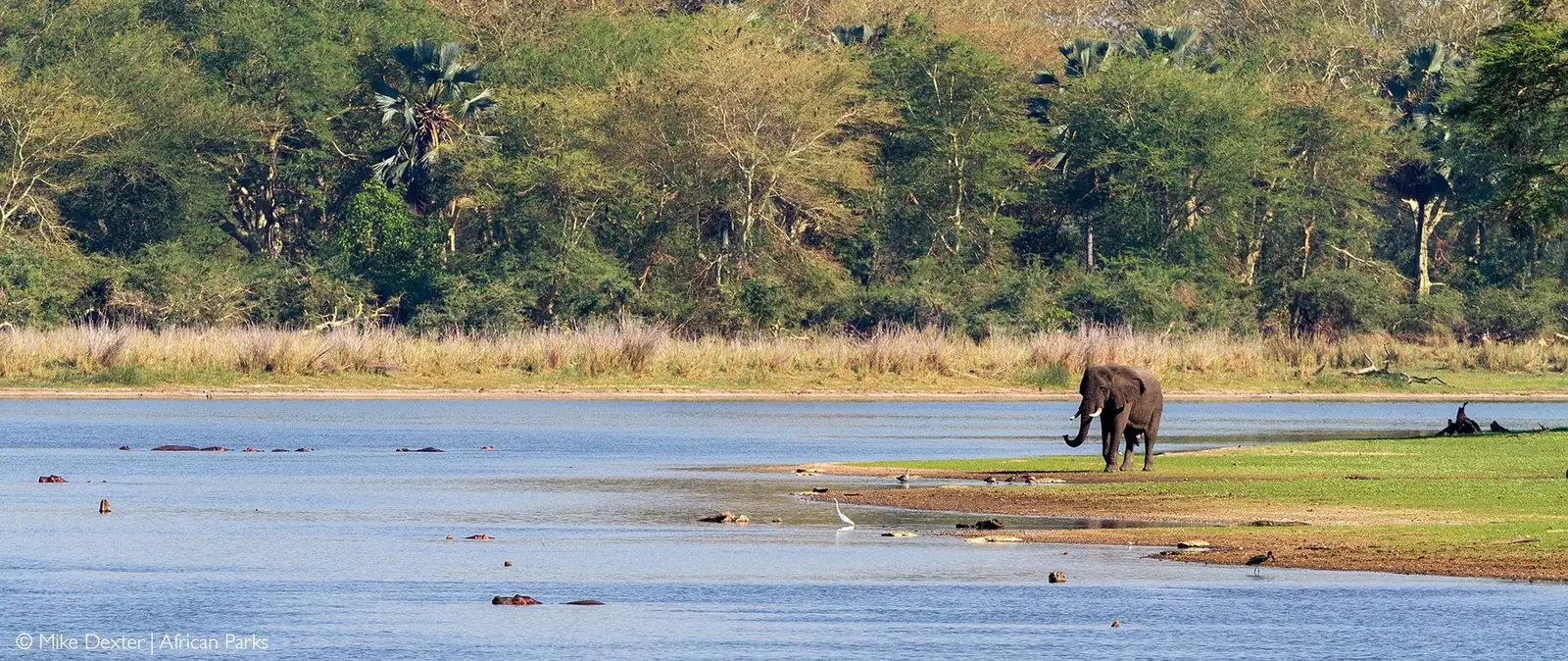 Liwonde National Park, Malawi – photo 2