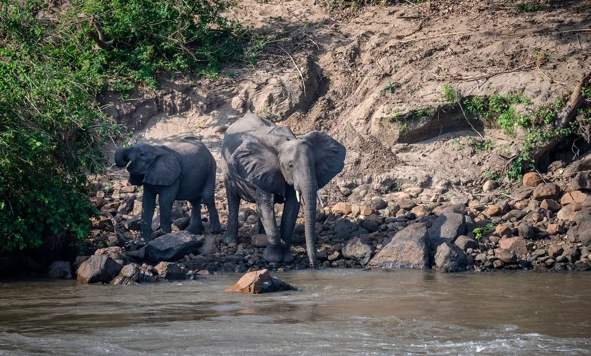 Majete Wildlife Reserve, Malawi – photo 2