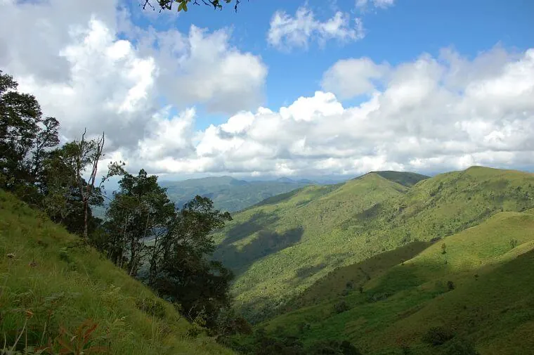 Viphya Plateau, Malawi – photo 1
