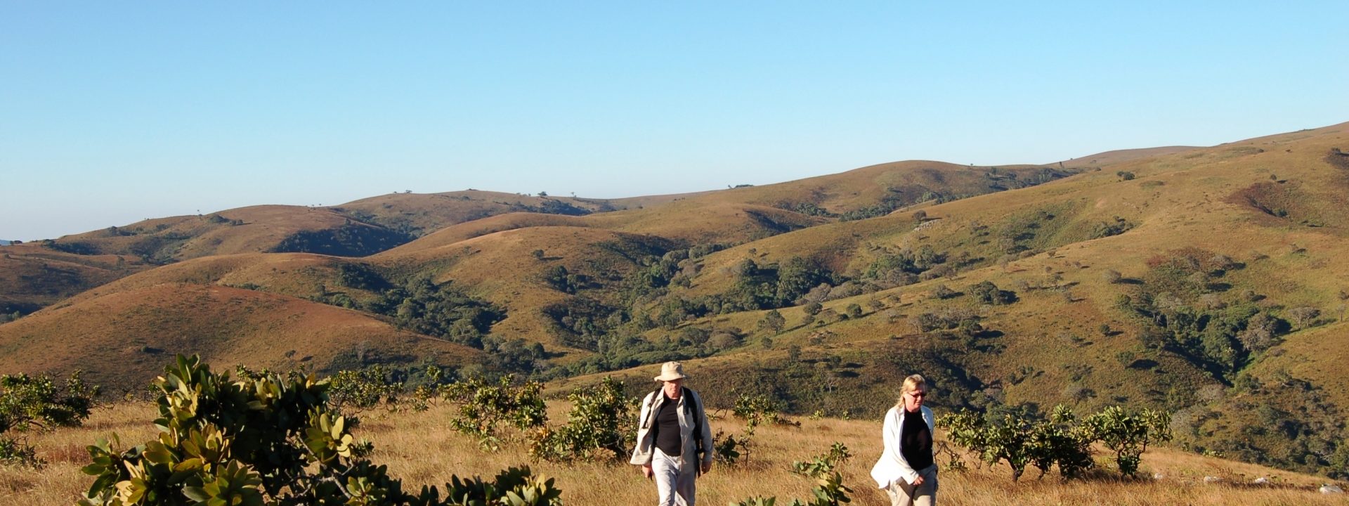 Nkhotakota Wildlife Reserve