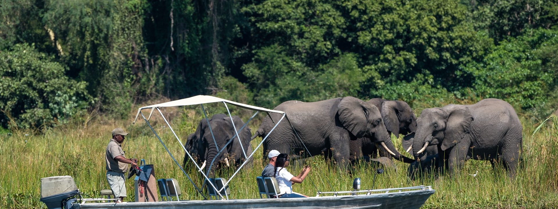 Liwonde Safari