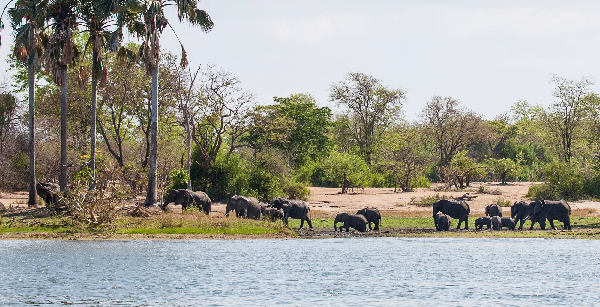 Liwonde Safari and Zomba Plateau